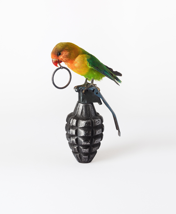 Nancy Fouts, Lovebird with Grenade, 2012 (c) Nancy Fouts, Courtesy of Flowers Gallery