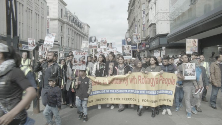 Andrea Luka Zimmerman