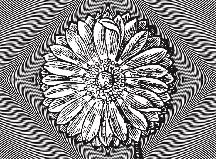 Psychotrope, 2012, acrylic on linen, 110x150cm 2