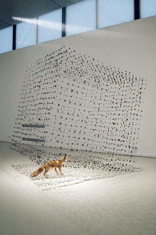 Considering Art Podcast – Claire Morgan, multi-disciplinary artist